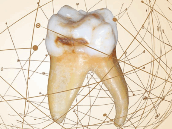 20190214.Current_Aspects_Cariology